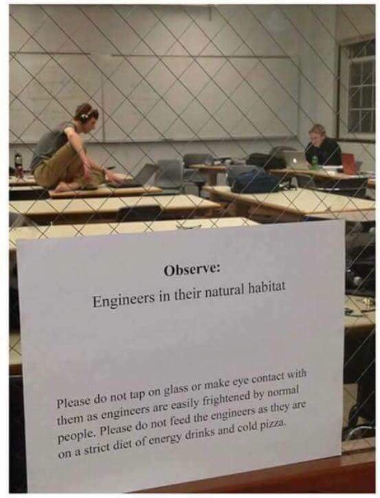 Engineers in their natural habitat.jpg