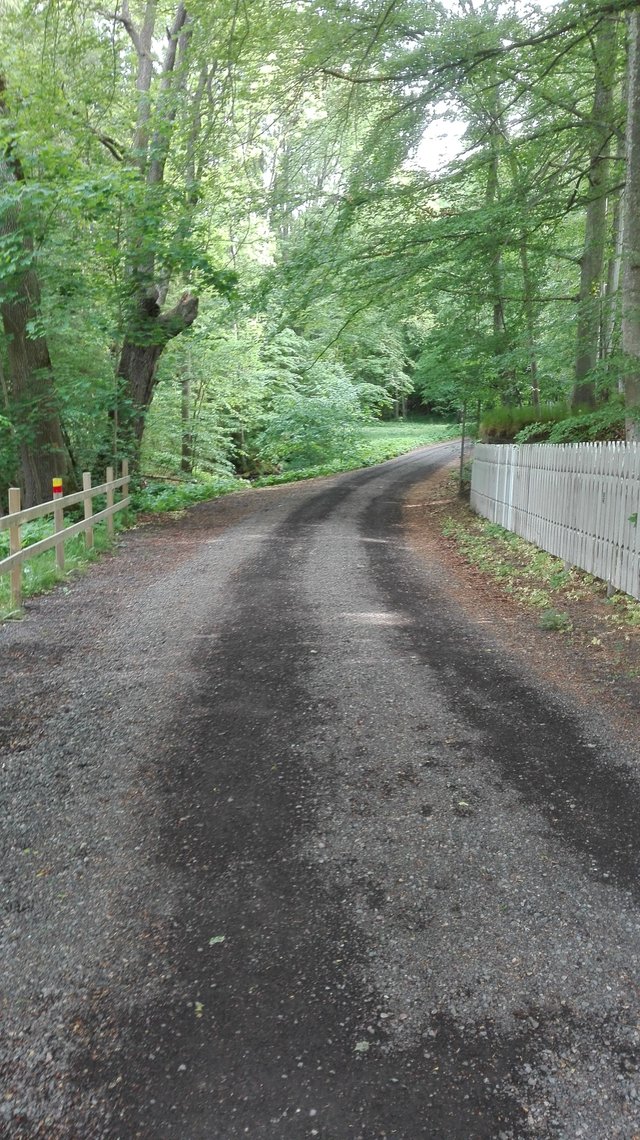 Old road.jpg