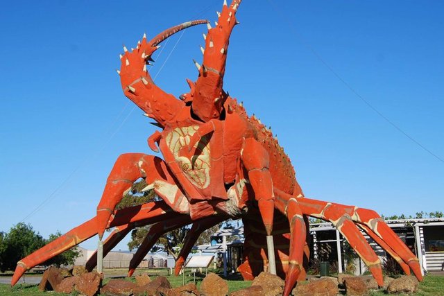 big lobster.jpg