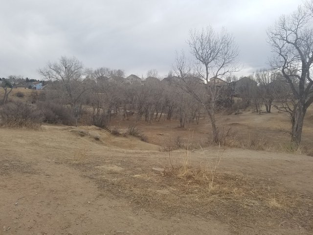 20180110_110829.jpg