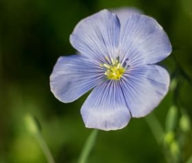 A6000-12-05-2016-00704 blauw een.jpg