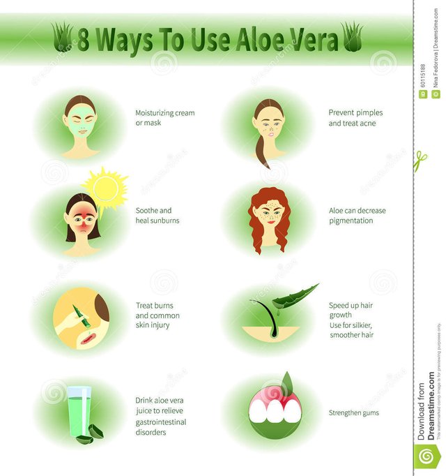 aloe-vera-infographic-aloe-uses-ways-to-use-60115188.jpg