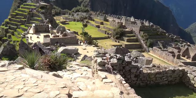 18 Machu Picchu Lama.JPG