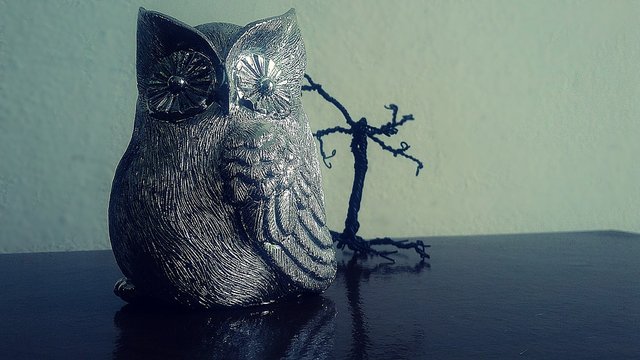 owl-1038539_960_720.jpg