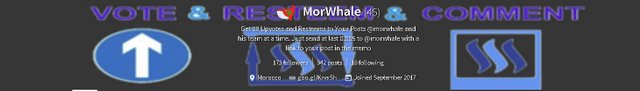 morwhale.JPG