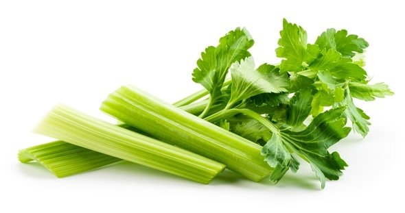 celery.jpg