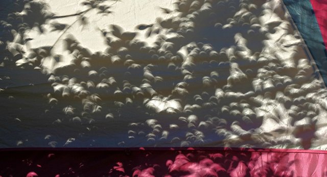 x eclipse canoe trip 28.jpg