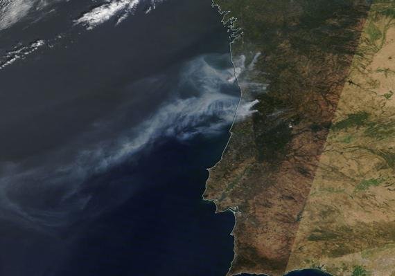 wildfire, lume, porgugal, xestión forestal