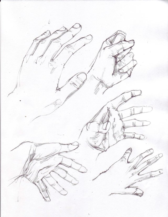 handstudybyeveningowl.jpg