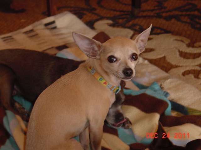 DSC01324.JPG