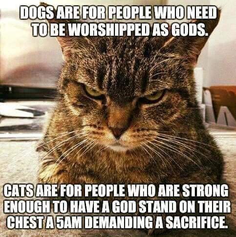 FB_IMG_1503275489703.jpg