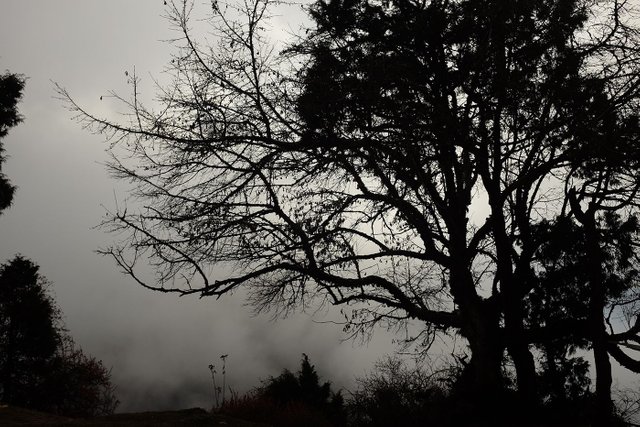 DSCF7040.jpg