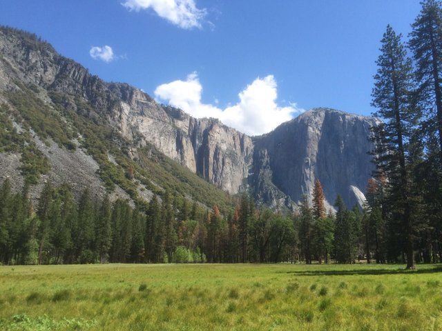 Yosemite NP2.jpg