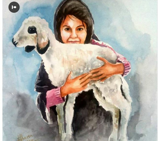 Kashmirri sheep.png