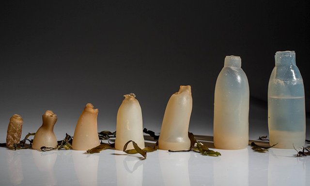 water-bottles-emgn-1.jpg