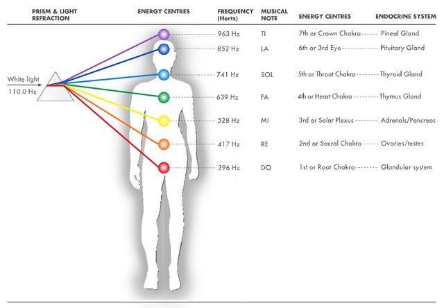 chakras-frequencies-organs.jpg