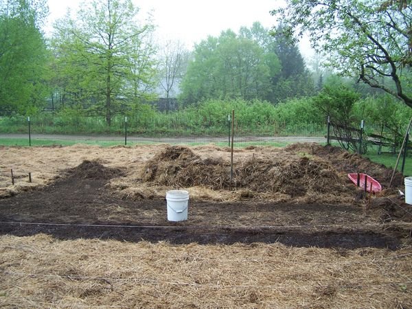 Big garden - prepping basil crop May 2018.jpg