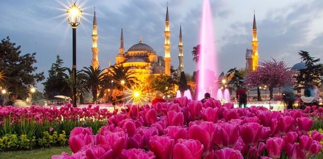 istanbul-lale-festivali-min.jpg