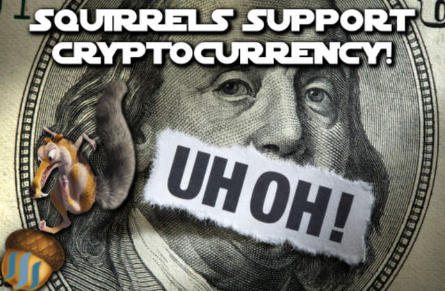 squirrel crypto thumbnai;.PNG