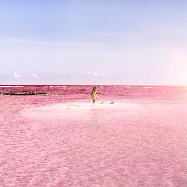 pink-lagoon-las-coloradas-mexico-15.jpg