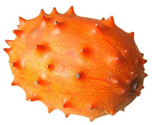 Kiwano.jpg