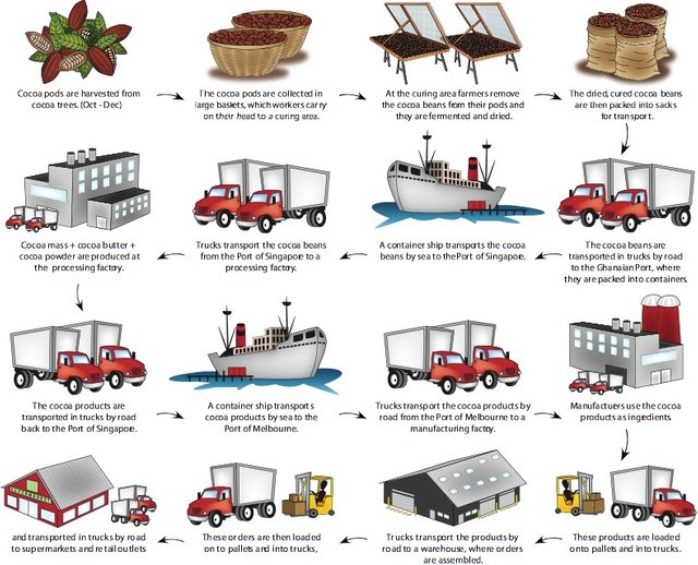 activity-05-cocoa-chain.jpg