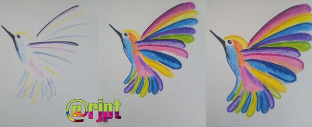  Dibujo de un colibrí en colores — Steemit