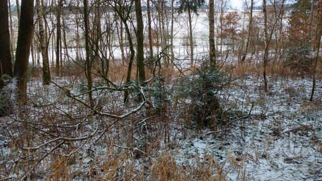IMG_20180120_094255254_HDR.jpg