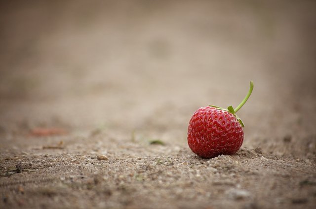 strawberry-2997834_1920.jpg