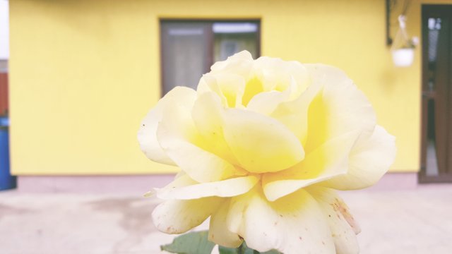 20170927_115446.jpg