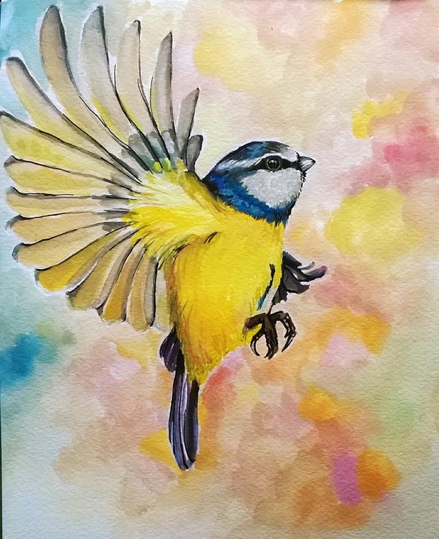 blue_tit_2_by_jyacini-dbtm83f.jpg