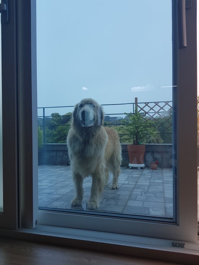 20180513_102529.jpg