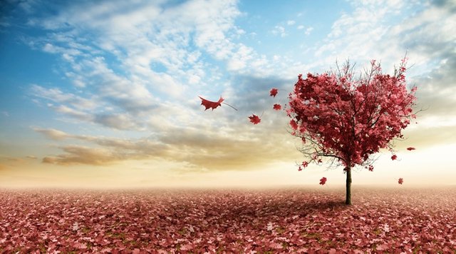 love-autumn-tree_759_thinkstockphotos-177812216.jpg