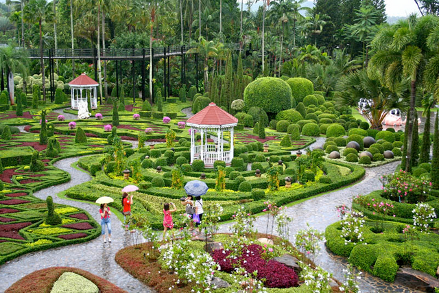 Travel # 50 Visit To Beautiful Place In Thailand (nong Nooch Tropical 