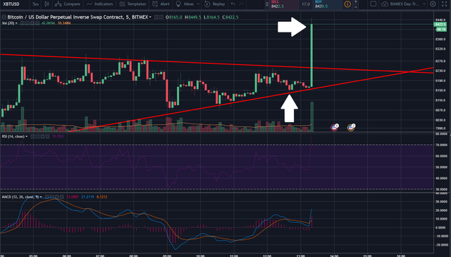 graph1trade3.png