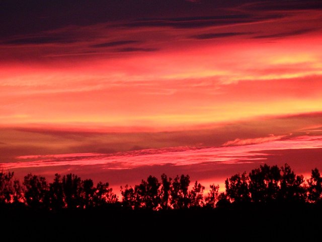 Fire sky.jpg