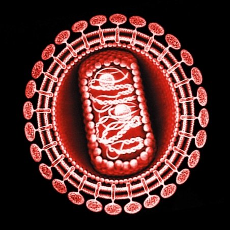 retrovirus 2.jpg