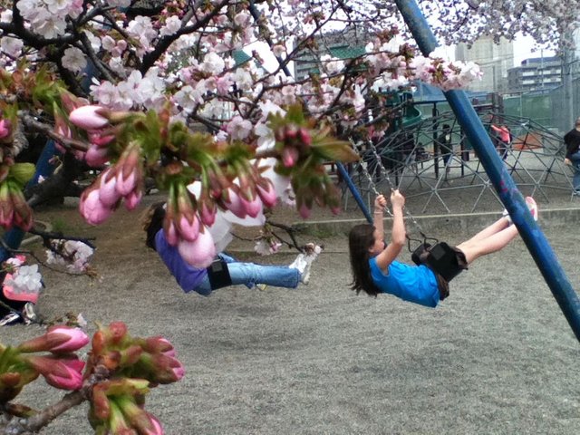 2011-04-11 sakura kids.jpg