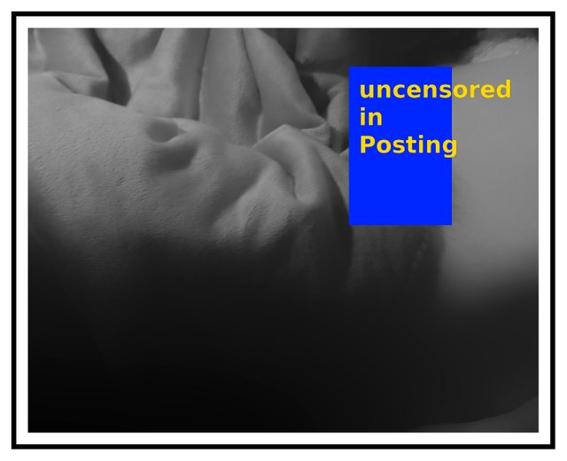  revealing 1 bw small censored.jpg