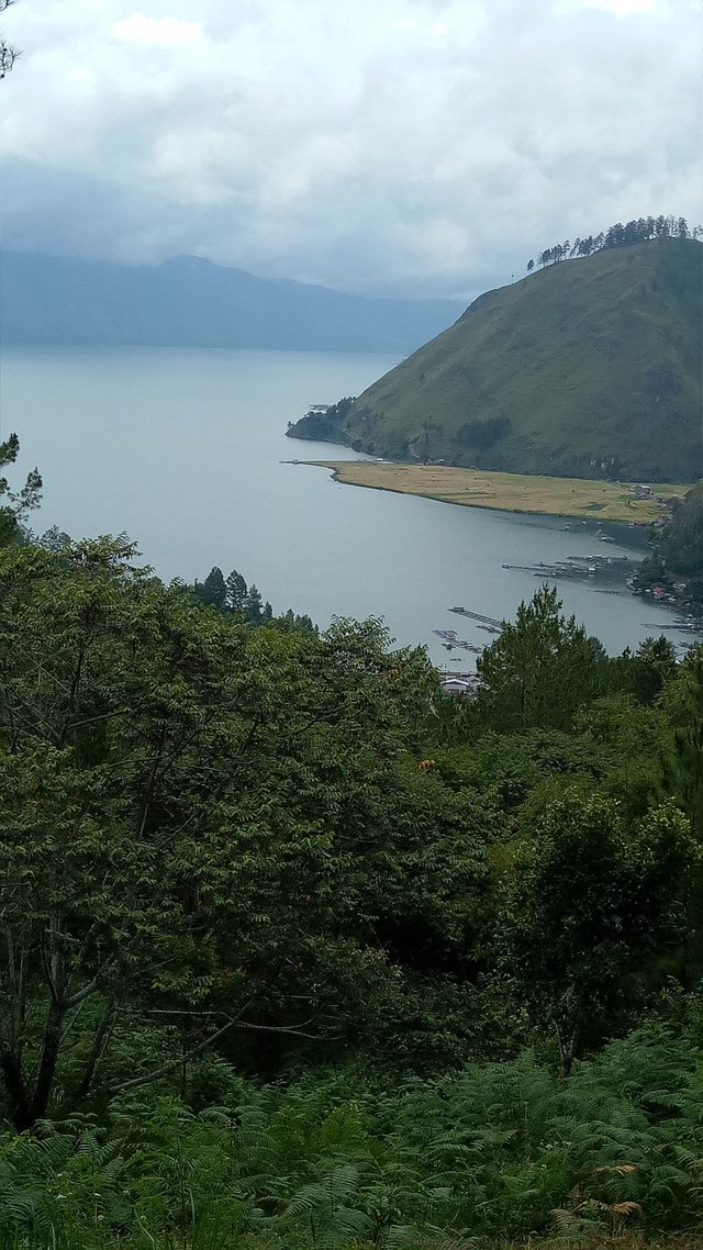 IMG20180414115204.jpg