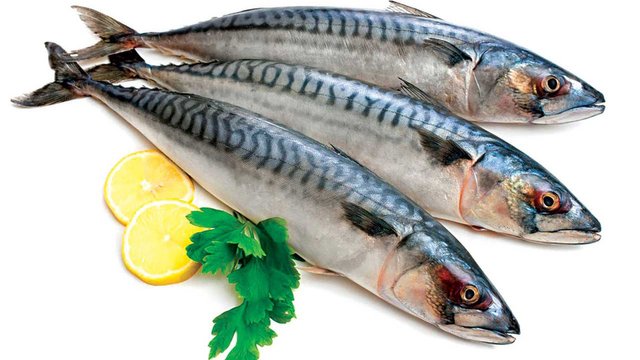 01 01. Oily fish .jpg