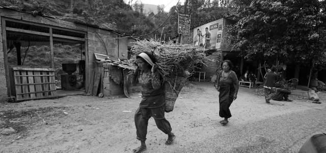 Nepal Carrying Crops.jpg