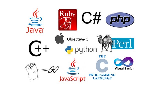 how-to-quickly-learn-a-new-programming-language-or-framework-872a01a168e5fd43647a146e95a6f7db60f58cd9c58627dbc9602d6fa1da0d1c.jpg