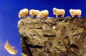 sheep committing suicide.jpeg