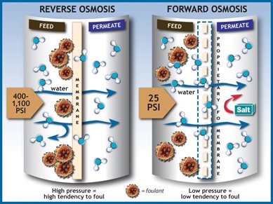 graph_forward-vs-reverse.jpg