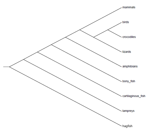 vertebrate_phylogeny.png