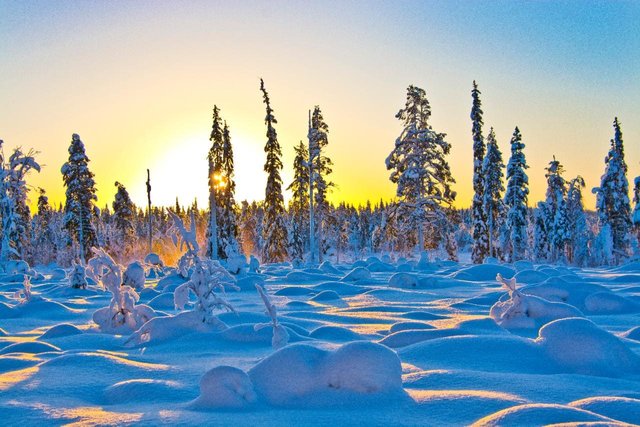 sweden-snowy-xlarge.jpg