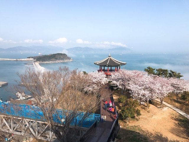 KakaoTalk_20180406_141601003_Easy-Resize.com.jpg