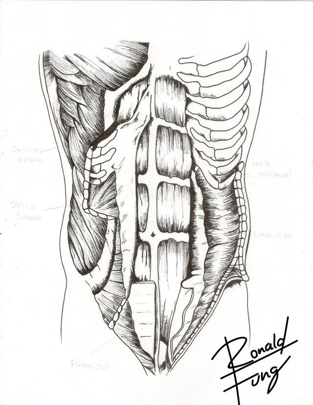 escanear0320.jpg