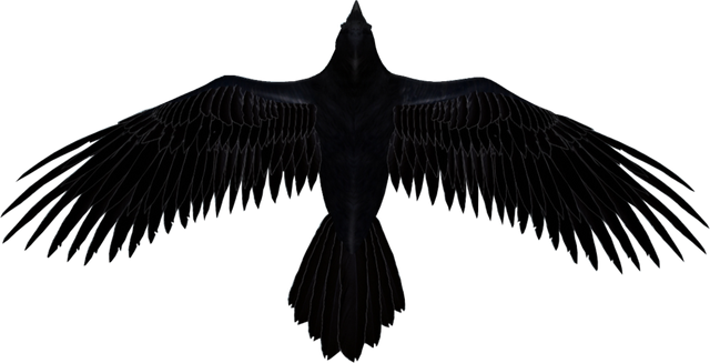 raven__render__by_darkstriiker-d60zmwx.png